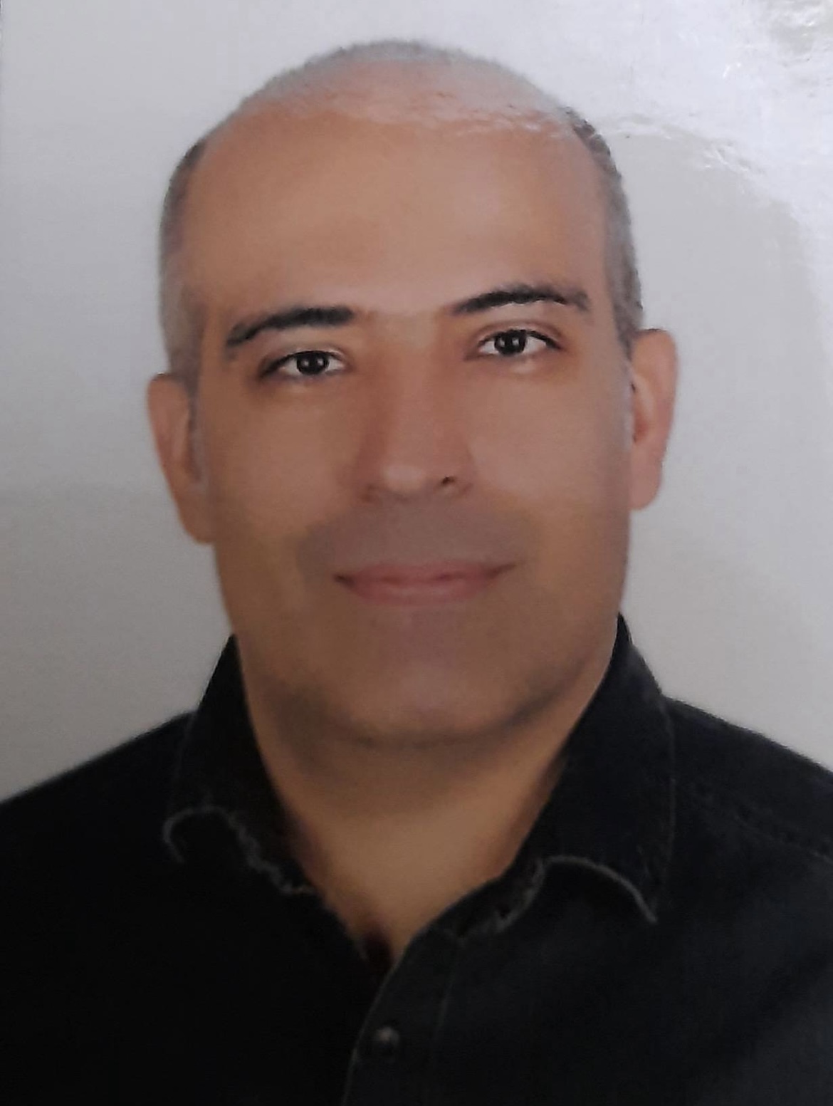 پرهام هنری